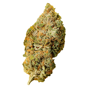 Palmetto - Orange Bud - Indica - 7g