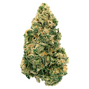 Back Forty - Galactic Jack - Sativa - 7g