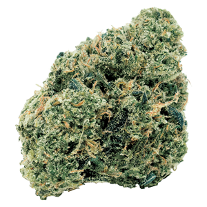 7ACRES - Northern OG Kush - Hybrid - 7g