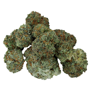 Starting Point! - Moon Drifter - Indica - 14g