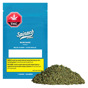 Spinach - Grindz - Blue Razz - Indica - 7g
