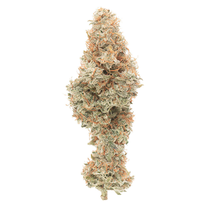 GOOD BUDS - Mango Cake Dry Flower - Sativa - 3.5g