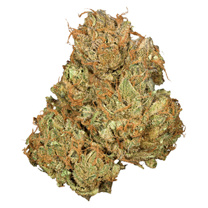 Orchid CBD - Jean Guy CBD - Sativa - 3.5g